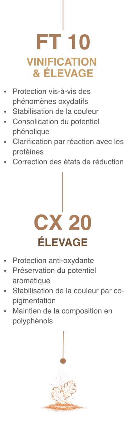 FT 10 / CX 20